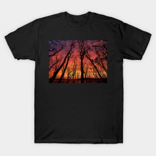 Sunset Through The Trees T-Shirt